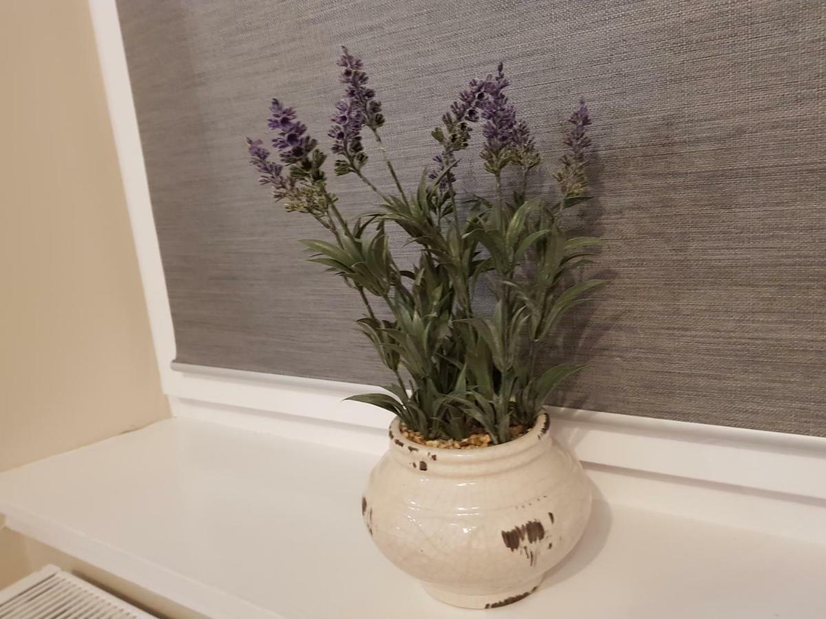 Smart & Cozy Holiday Apartment In The City Centre Inverness Extérieur photo